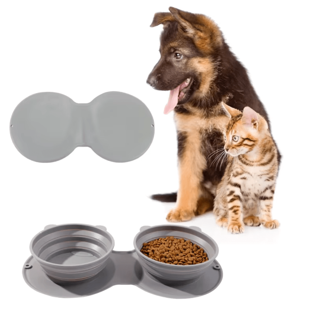 2-in-1 collapsible travel pet bowl