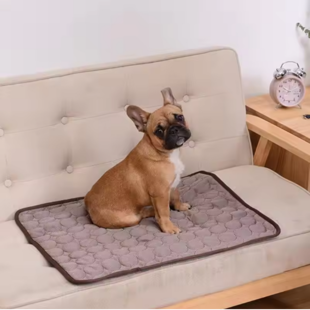 CoolPaws cooling mat for dogs and cats