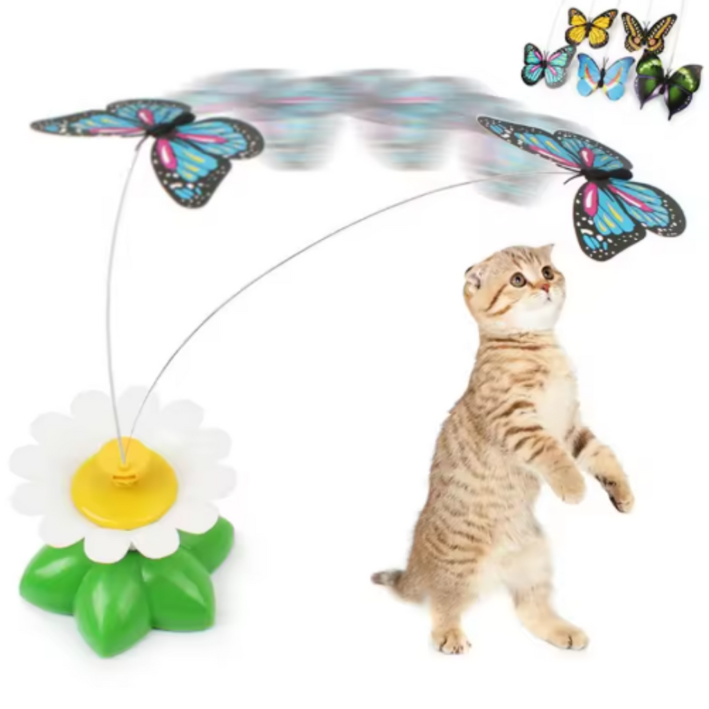 PawFlutter interactive butterfly toy for cats