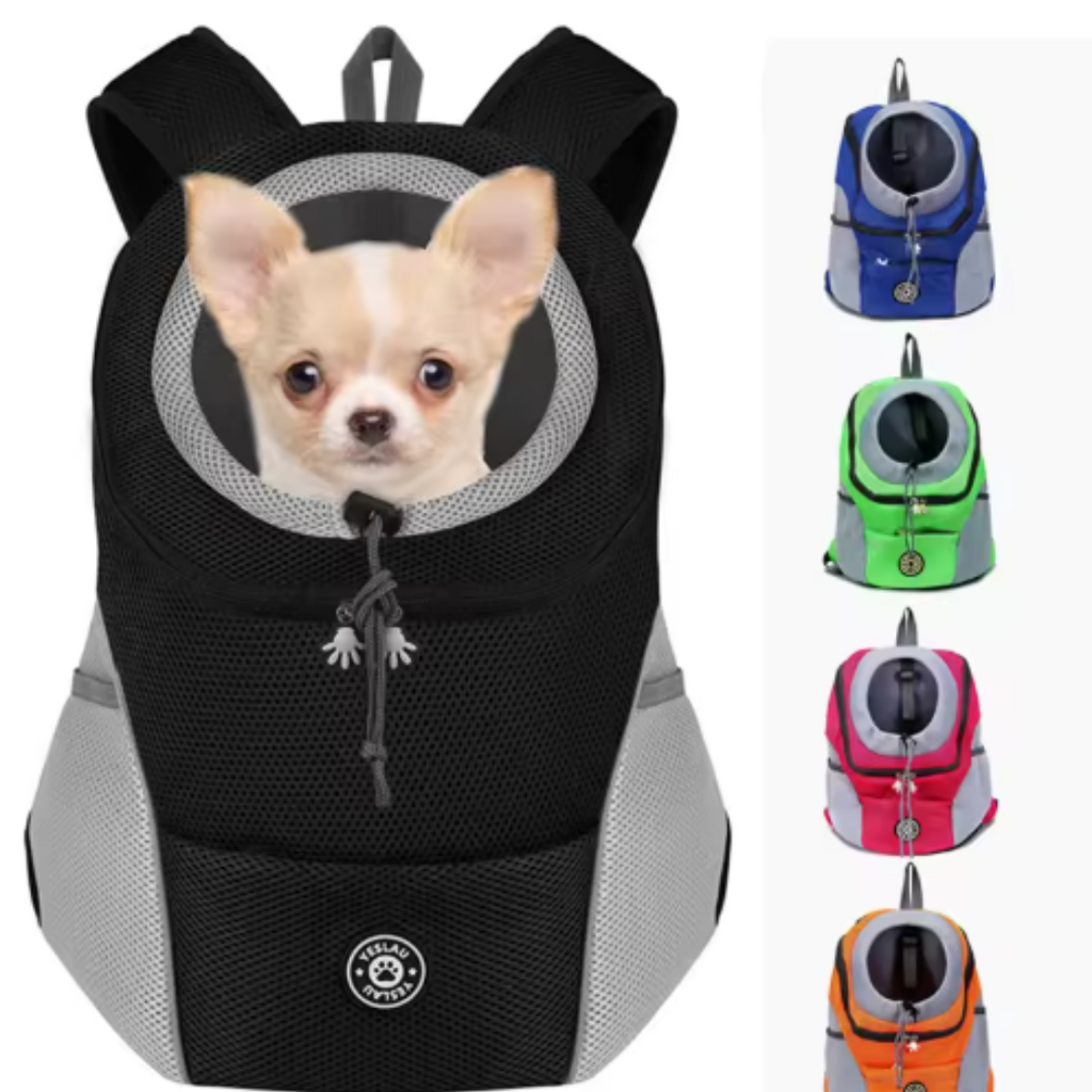 BuddyPack dog carrier backpack