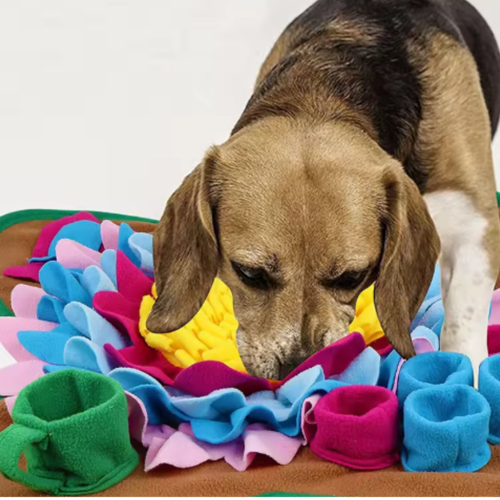 ChewKing extra tough dog chew toy