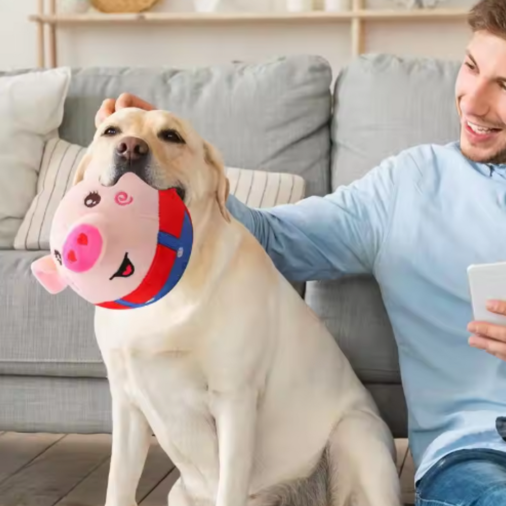 DogRover interactive moving dog toy
