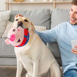 DogRover interactive moving dog toy