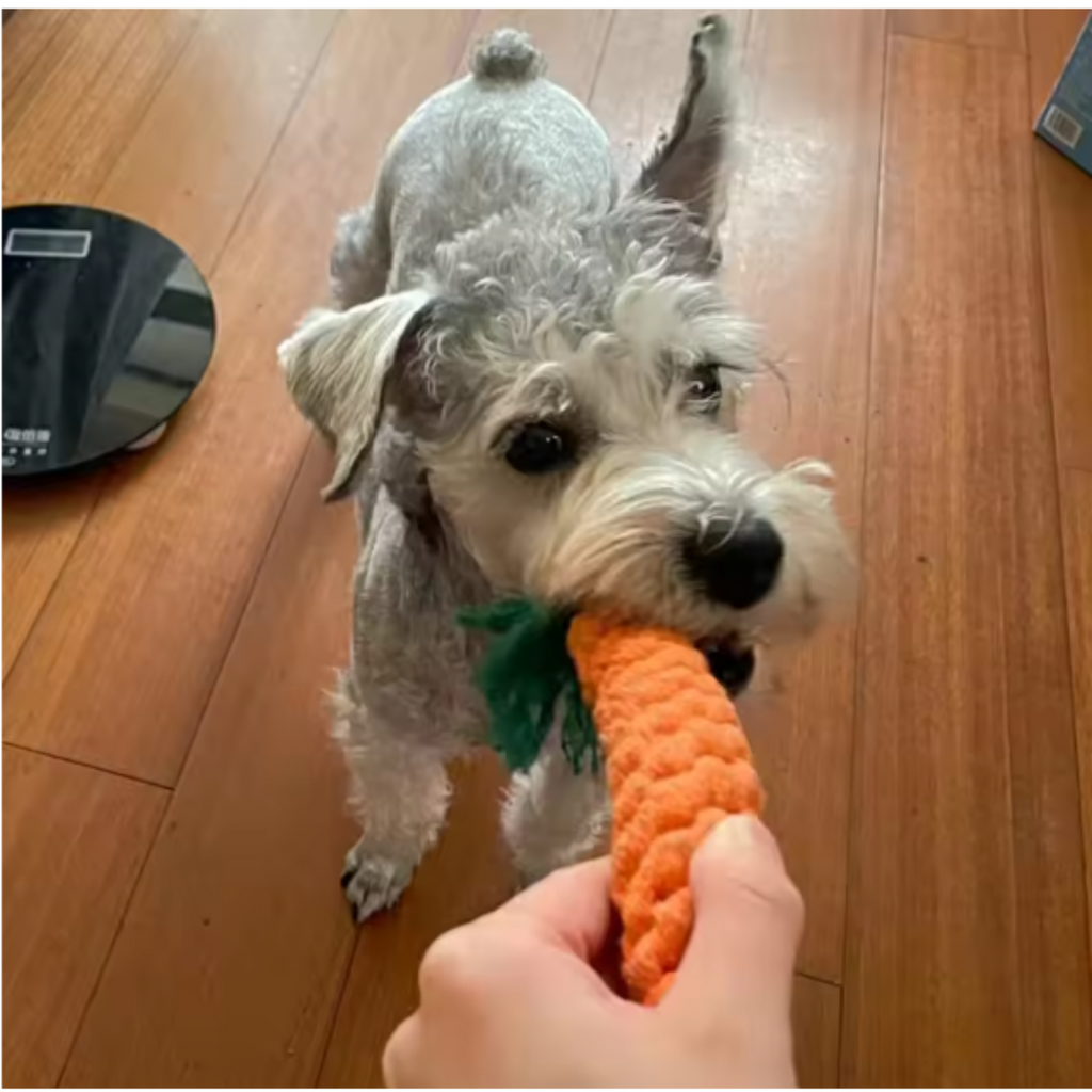 Cotton rope chew toy set for dogs