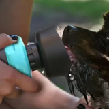 WaterPaws foldable dog water bottle