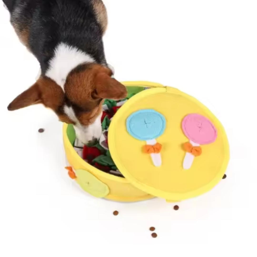Snuffle box for pets
