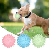 Bouncy rubber training ball