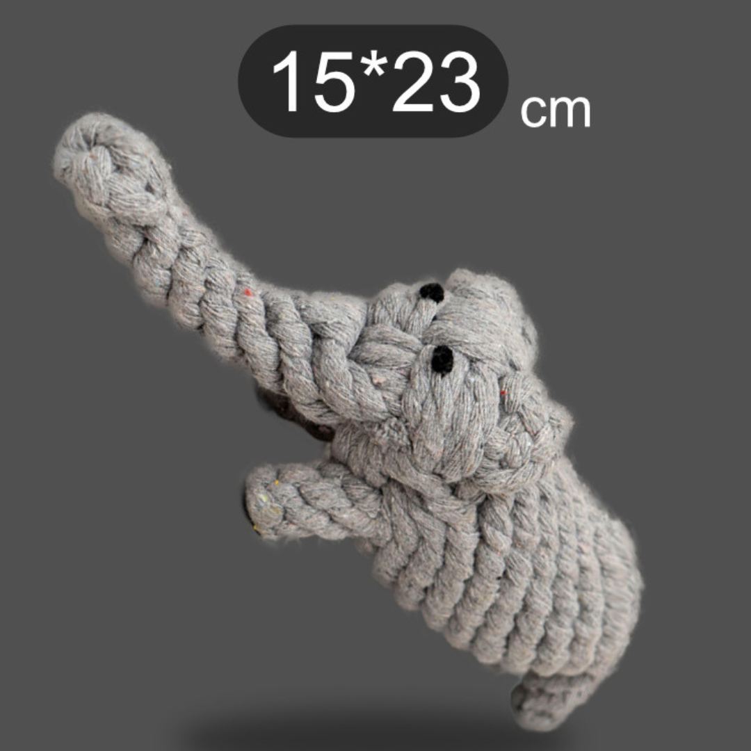 Carrot cotton rope dog toys shown in all designs
