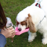 Portable dog water bottle