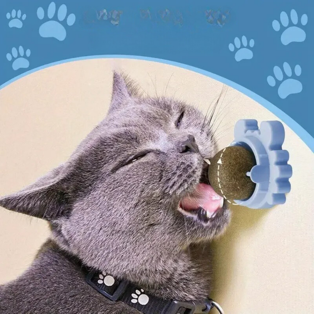 Catnip ball in green