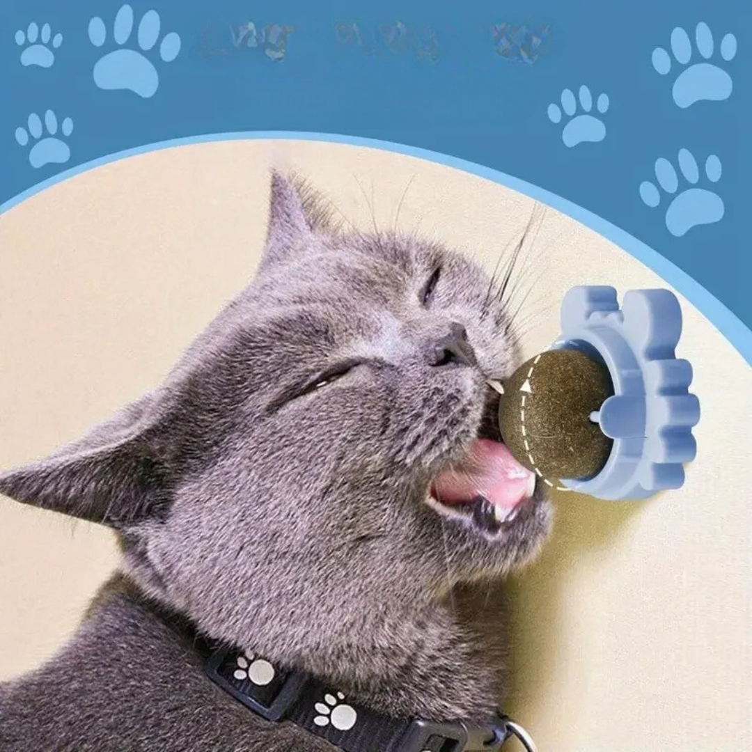 Catnip ball in green