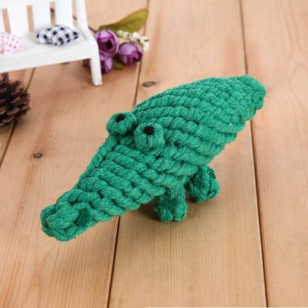 Cotton Rope Chew Toy Set for Dogs