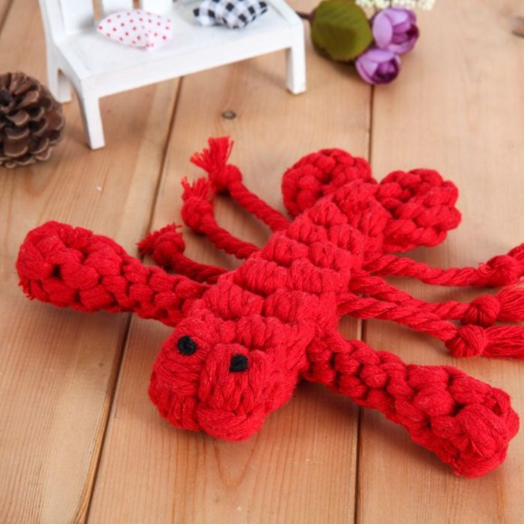 Durable Chew & Tug Dog Toy Set