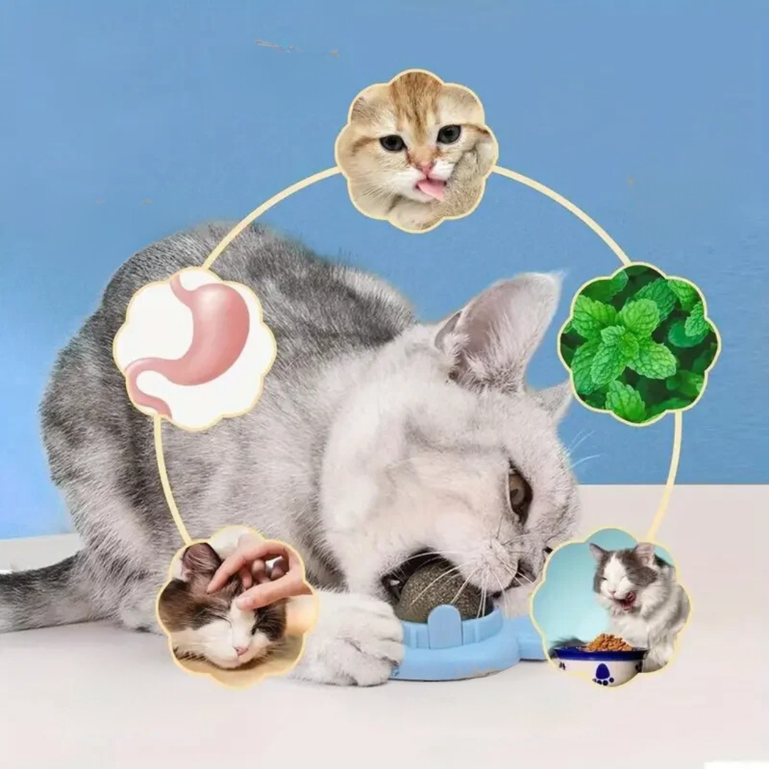 Catnip ball in blue