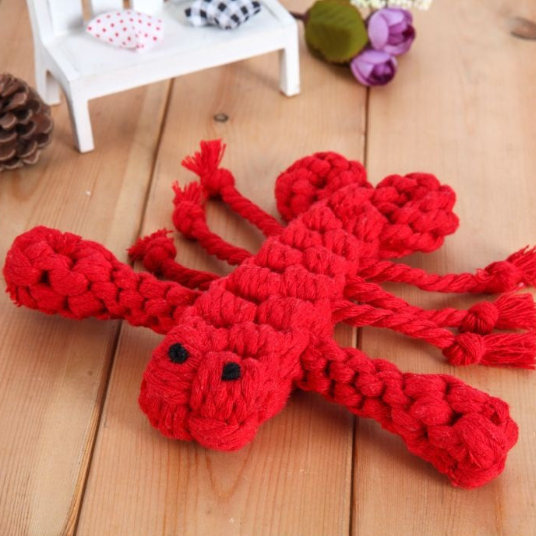 Cotton Rope Chew Toy Set for Dogs