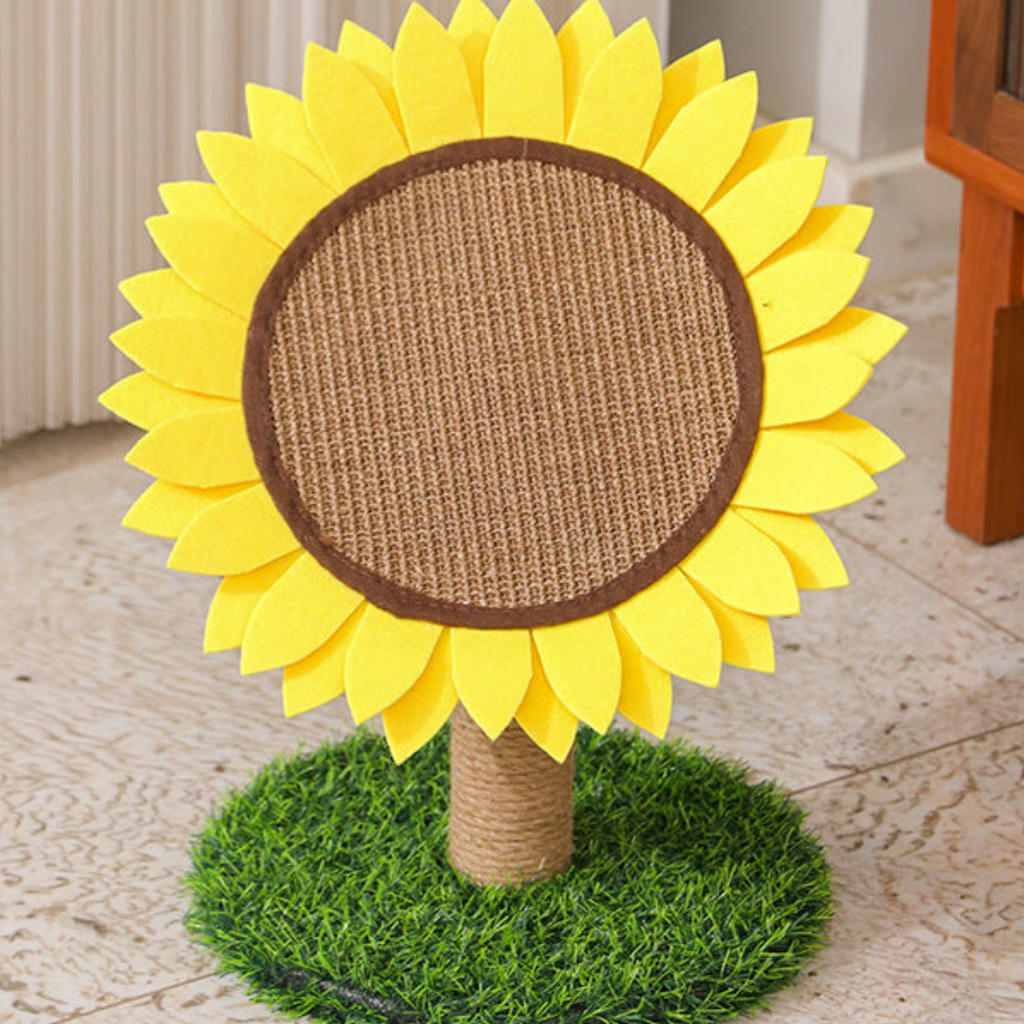Cat scratching the sunflower scratcher