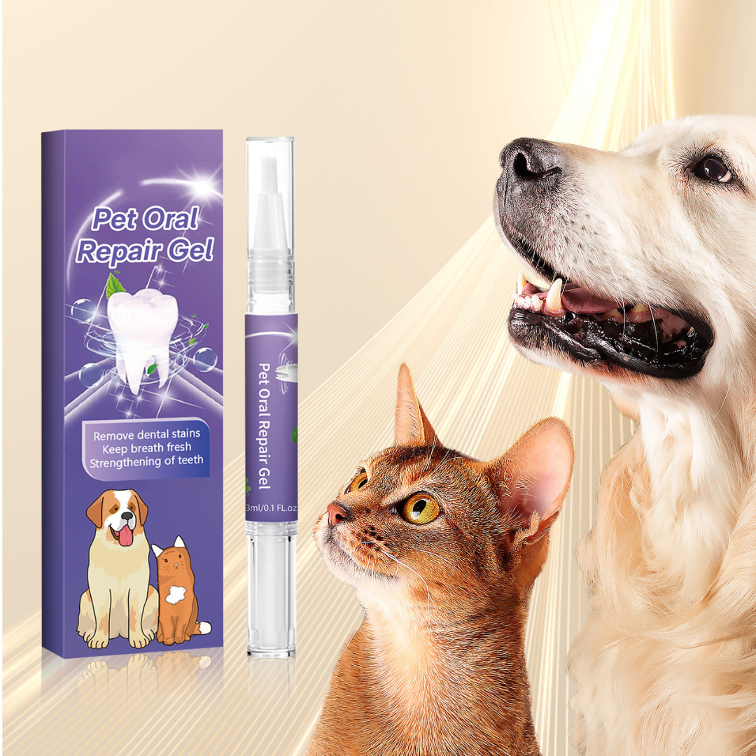 Applying the pet dental gel pen to a dog's teeth