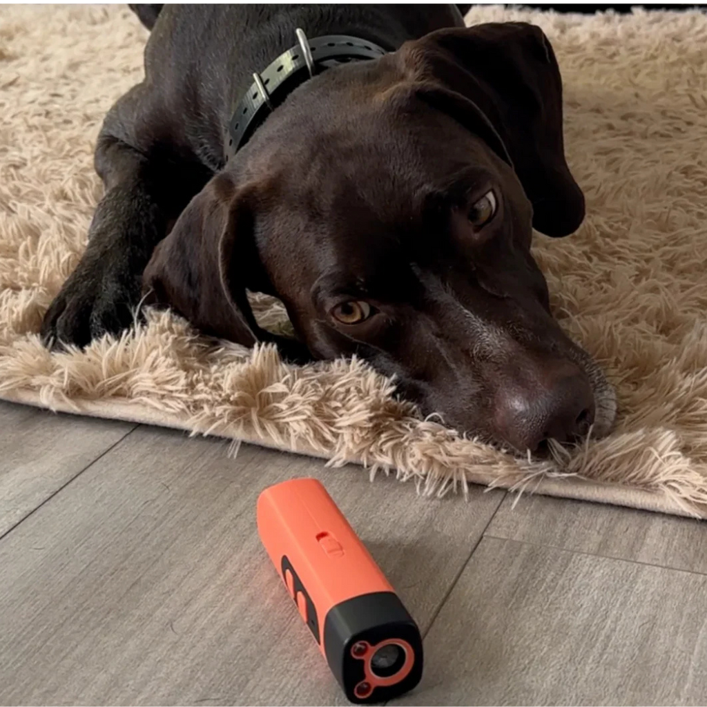 BarkShield ultrasonic anti-bark device for dogs