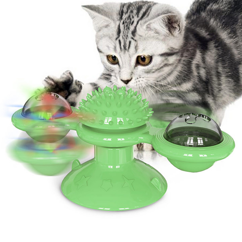 Cat playing with the carousel spinner toy