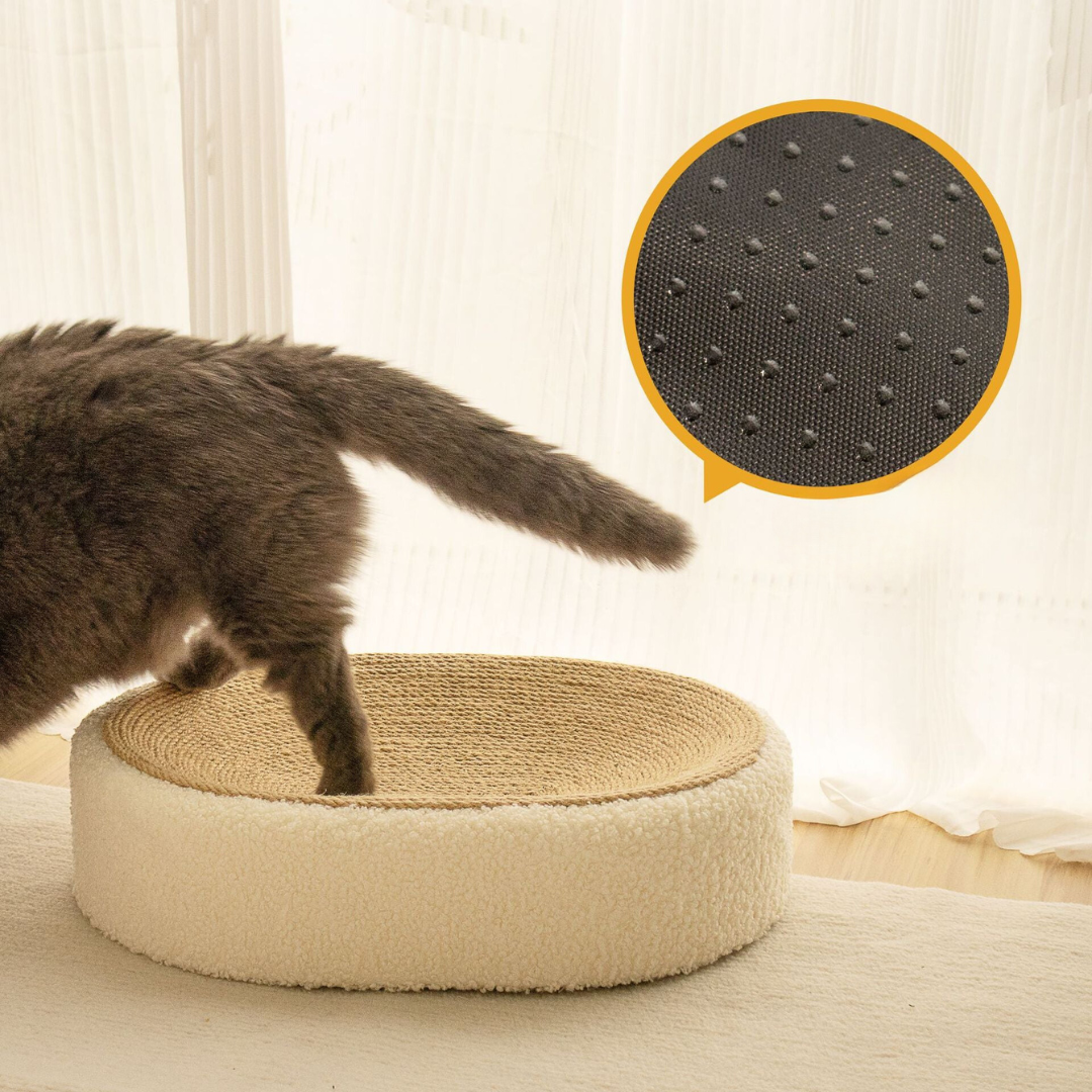 Cat scratching the sisal bed surface