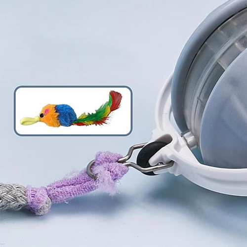 Cat batting the feather tail on the interactive laser ball