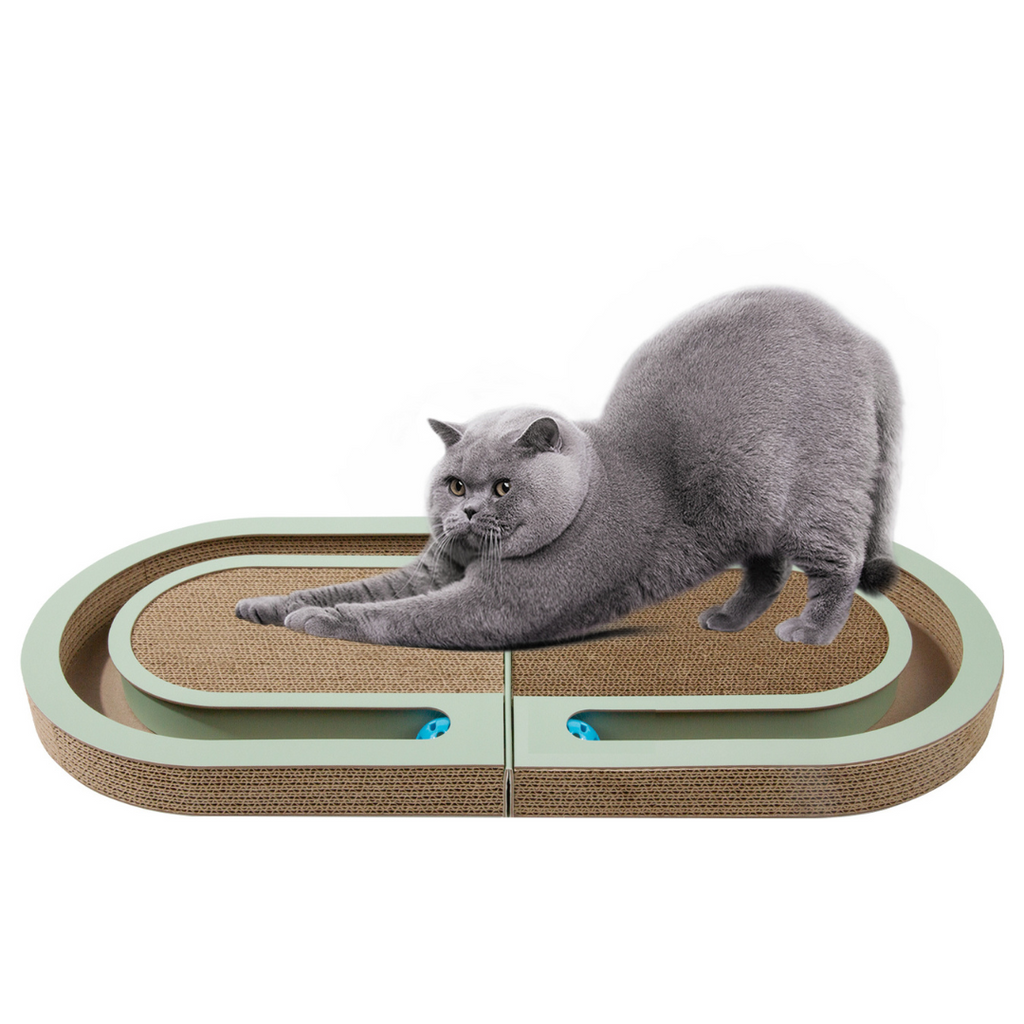 Cardboard cat scratch and play bed with ball track