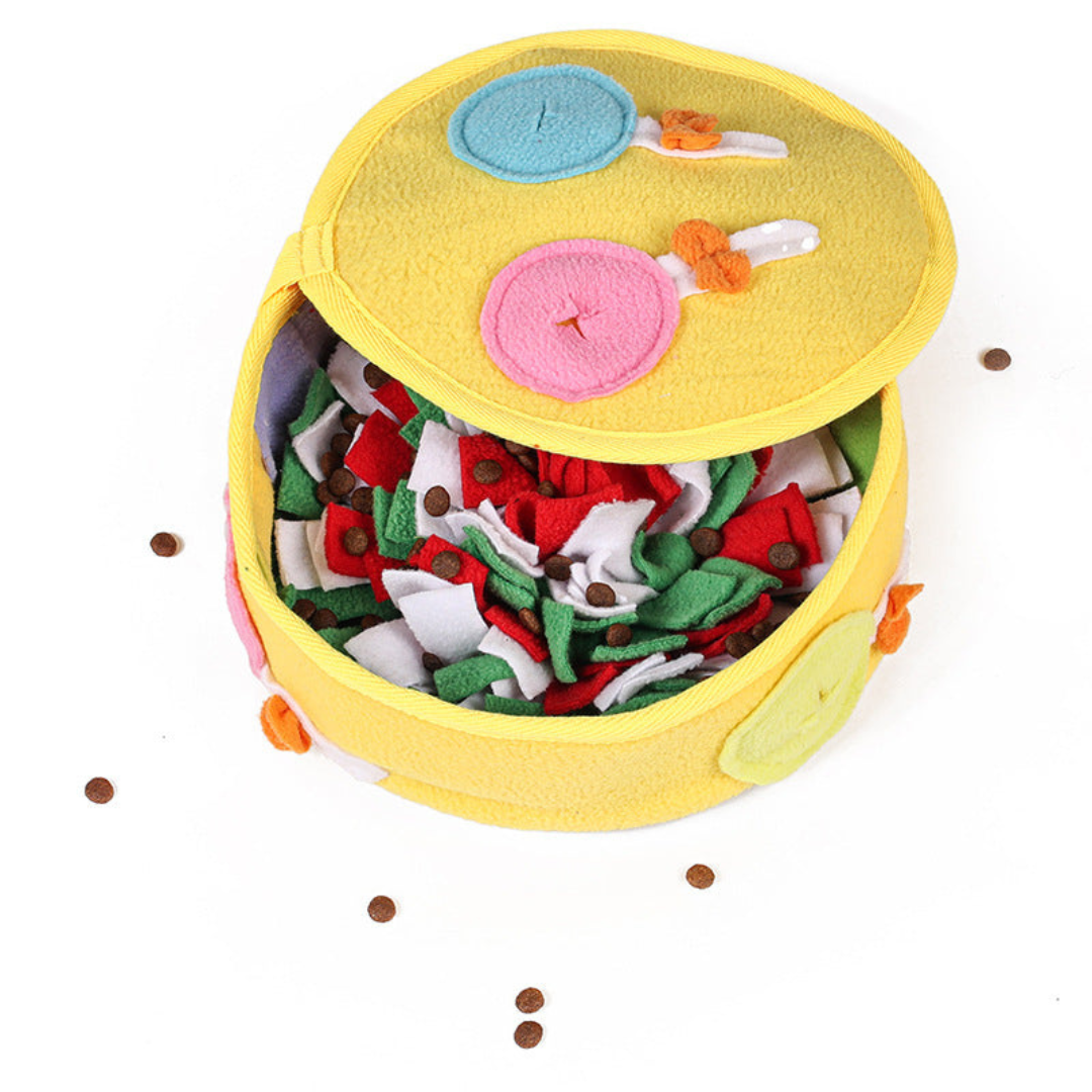 Snuffle box hiding treats for pets