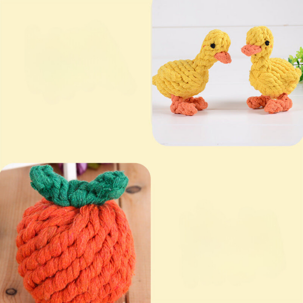 Chew and tug dog toy in mixed colours