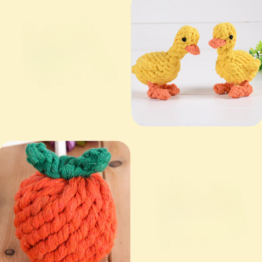 Chew and tug dog toy in mixed colours