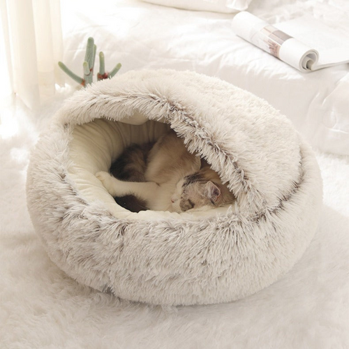 Cat inside the hooded cave bed