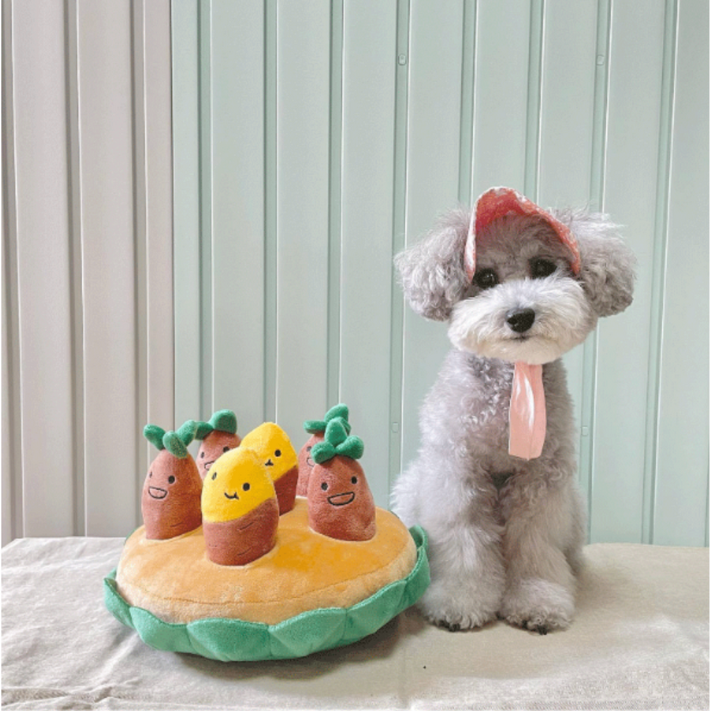 Snuffle garden toy hiding treats