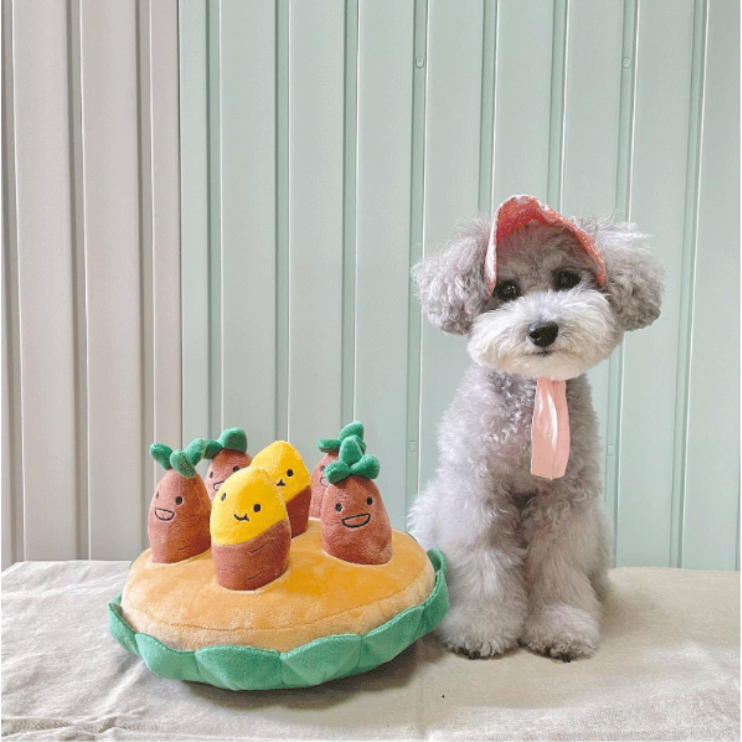 Snuffle garden toy hiding treats