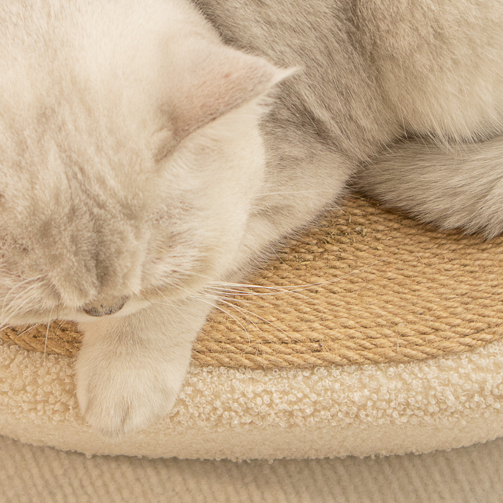 Cat resting in the sisal scratch bed