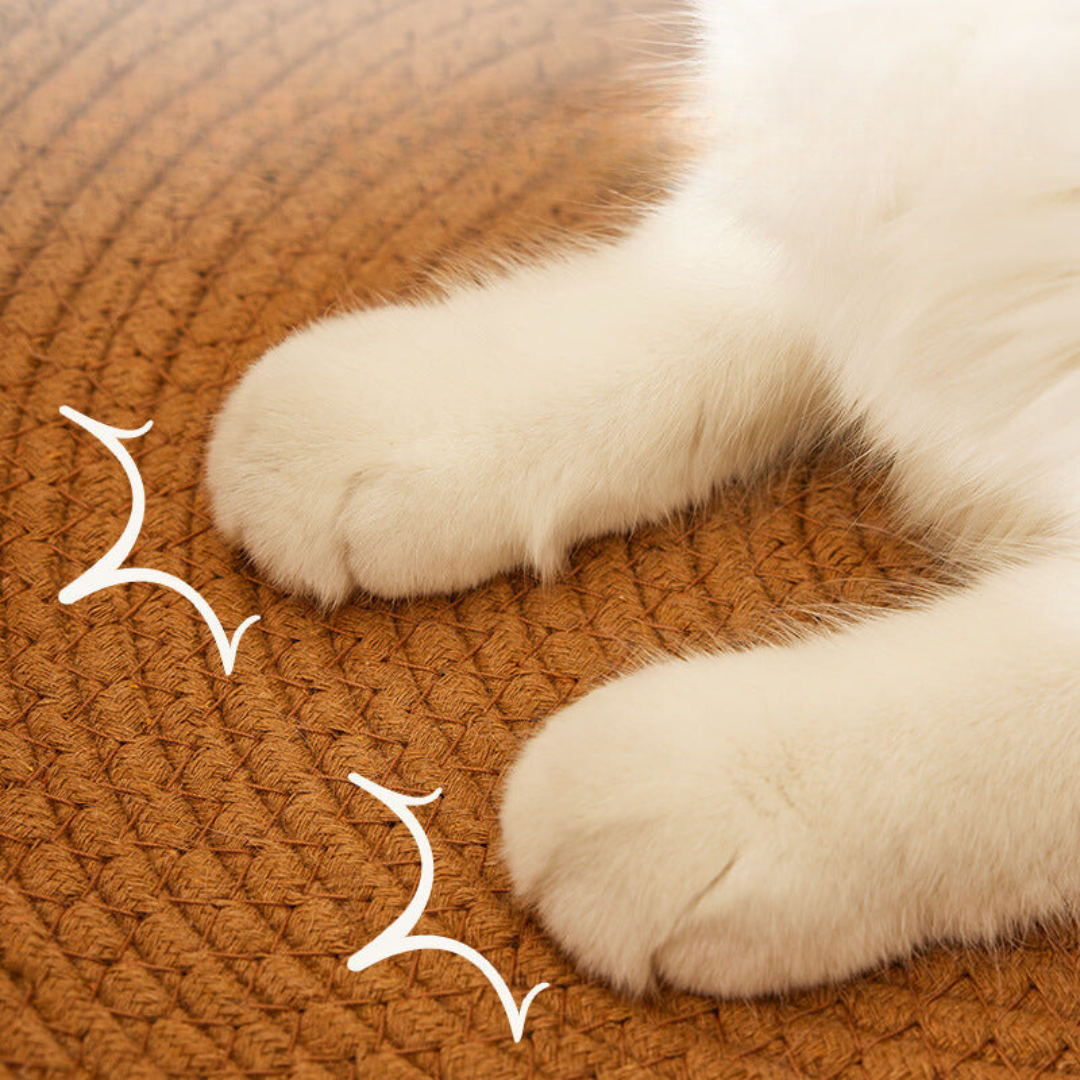 Cat scratching the woven rattan-style bed
