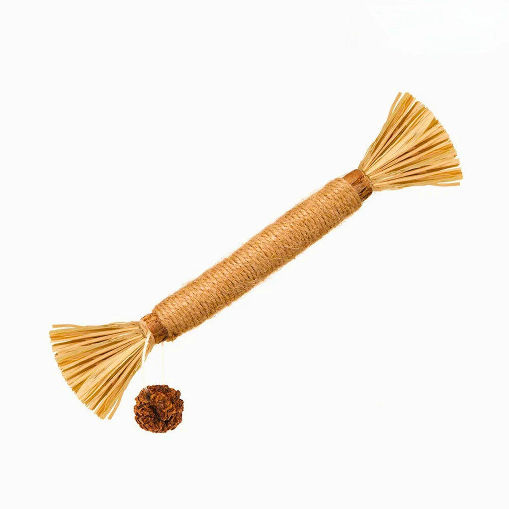 Cat chewing on a natural silvervine stick