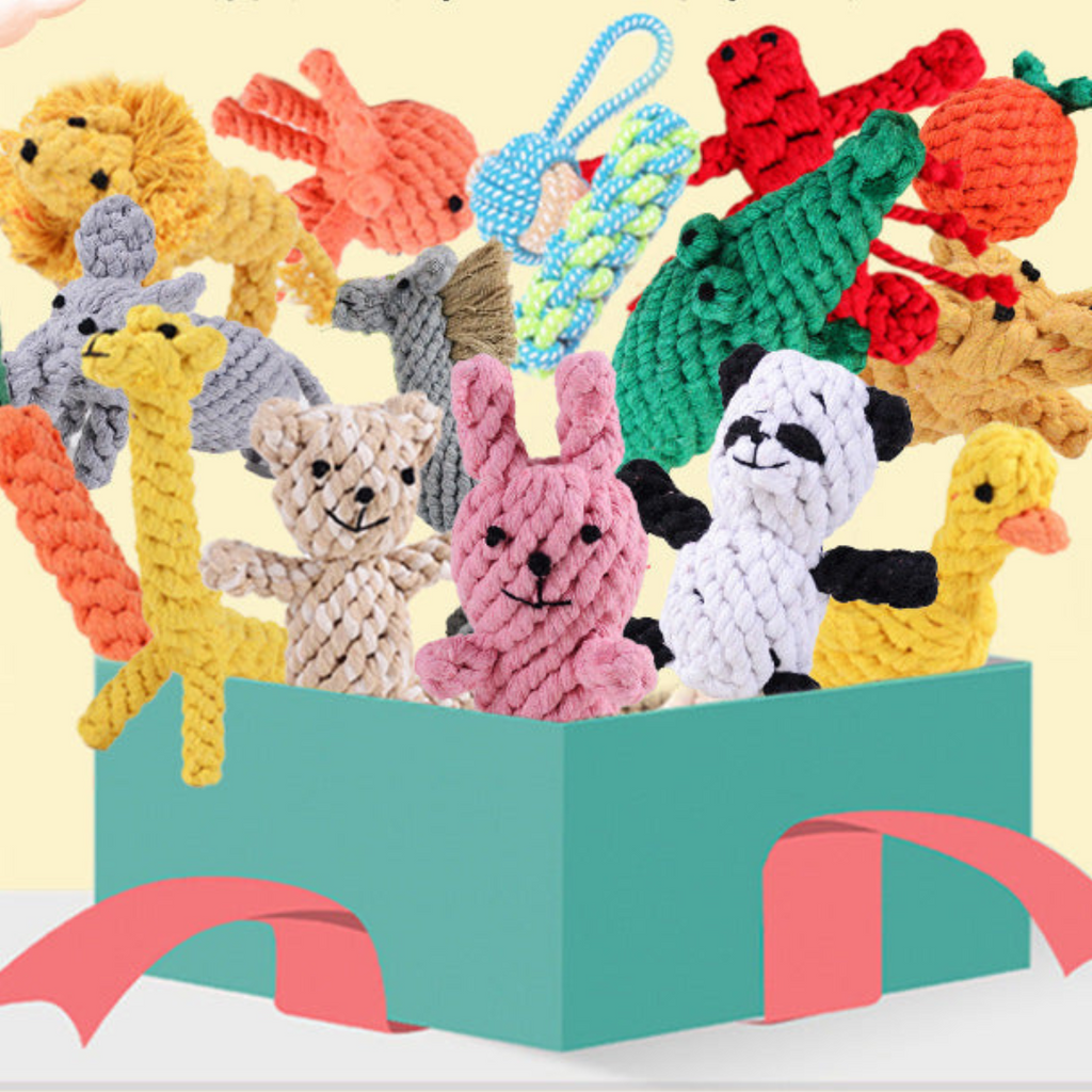 Cotton rope chew and tug toy for dogs