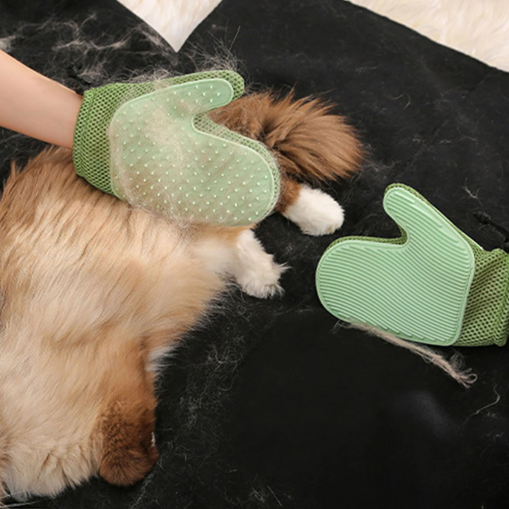 Cat grooming glove in green
