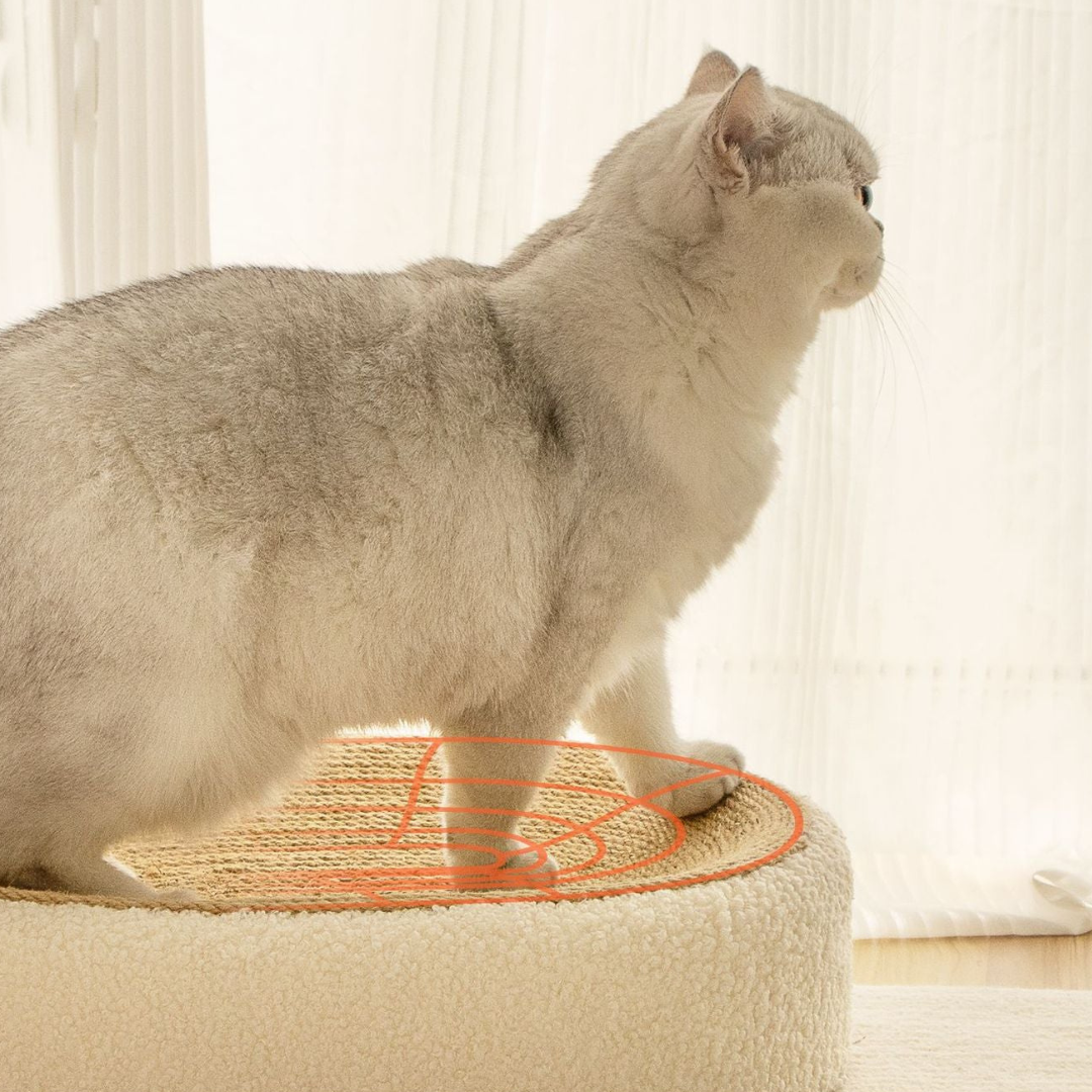 Premium sisal cat scratch bed
