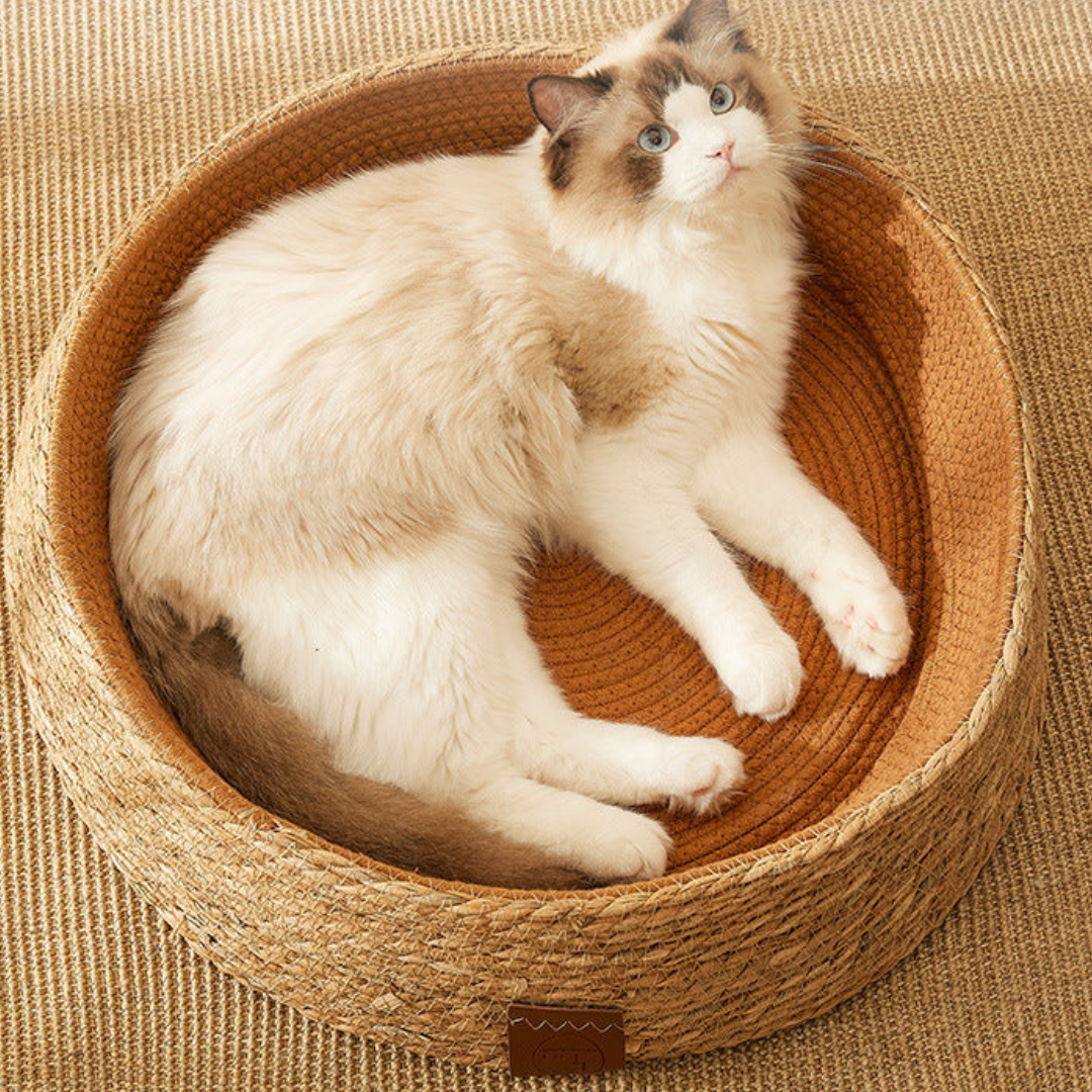 Handwoven rattan-style cat bed detail