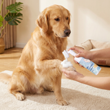 Waterless gentle paw cleaning foam with brush for dogs