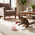 Interactive butterfly spinner toy for cats