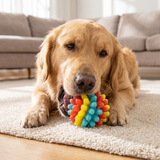 Colourful bumpy dog chew ball
