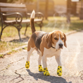 Self-adhesive pet paw bandage for hot pavement and snow