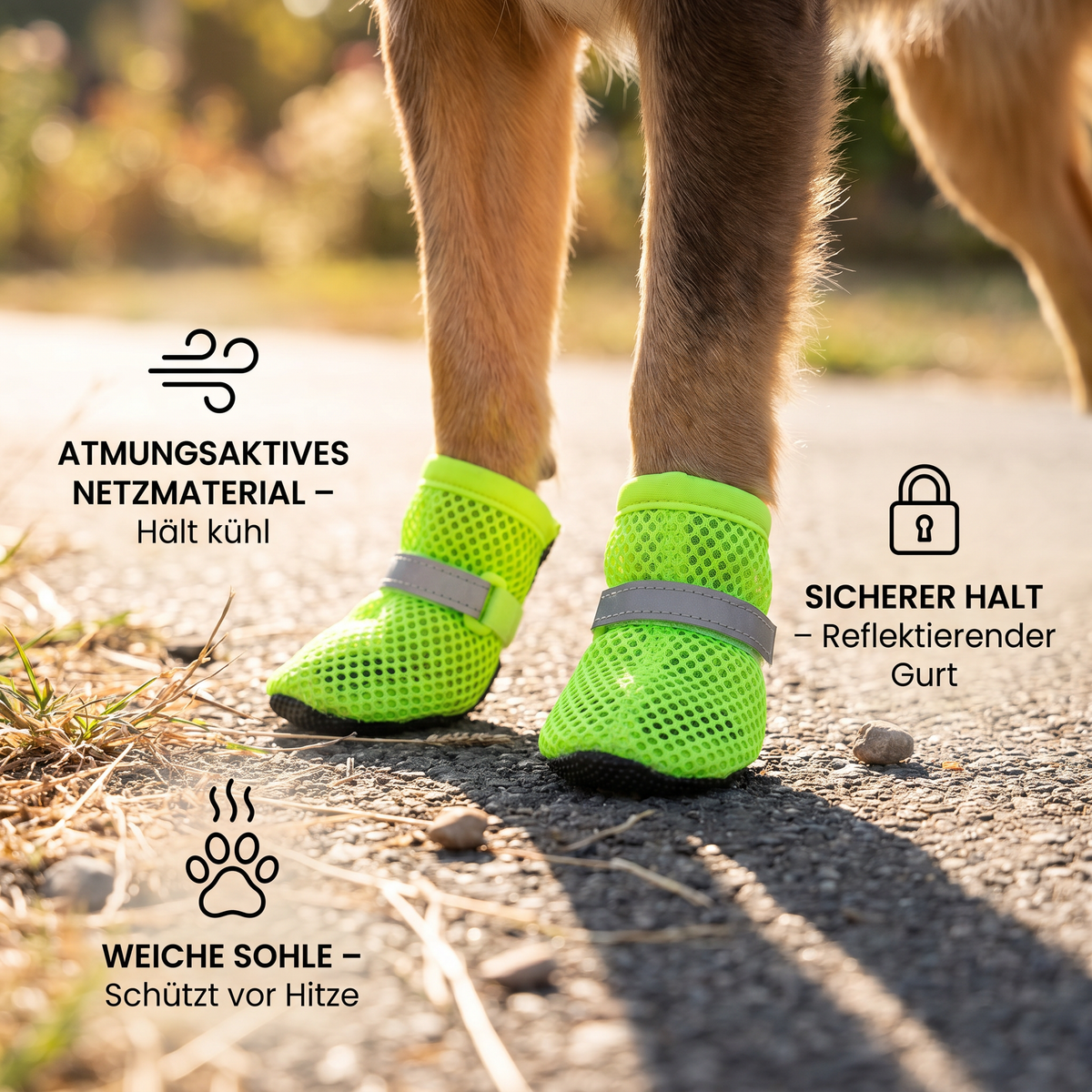 Breathable mesh dog shoes with soft sole for hot days