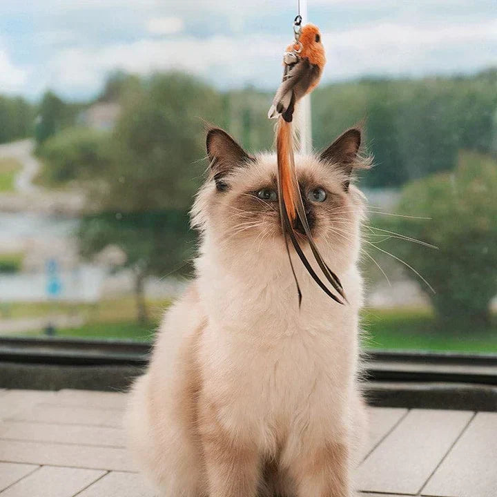 Cat pouncing on the FlutterFriend bird simulation toy