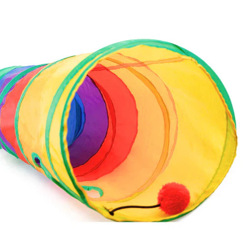 Cat playing in the PlayFun rainbow tunnel