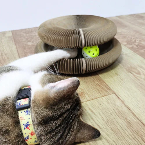 PlayFun cat scratch and play ball