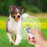 ActiveBall self-rolling dog ball