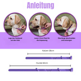 Calming collar for dogs and cats