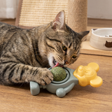 Cat grass chew ball toy for cats
